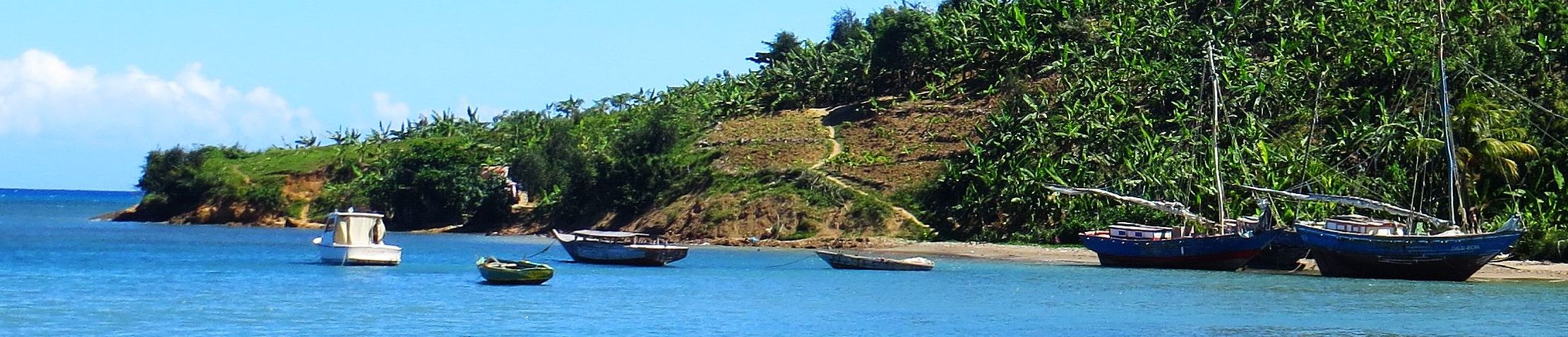 le panorama vu de la route