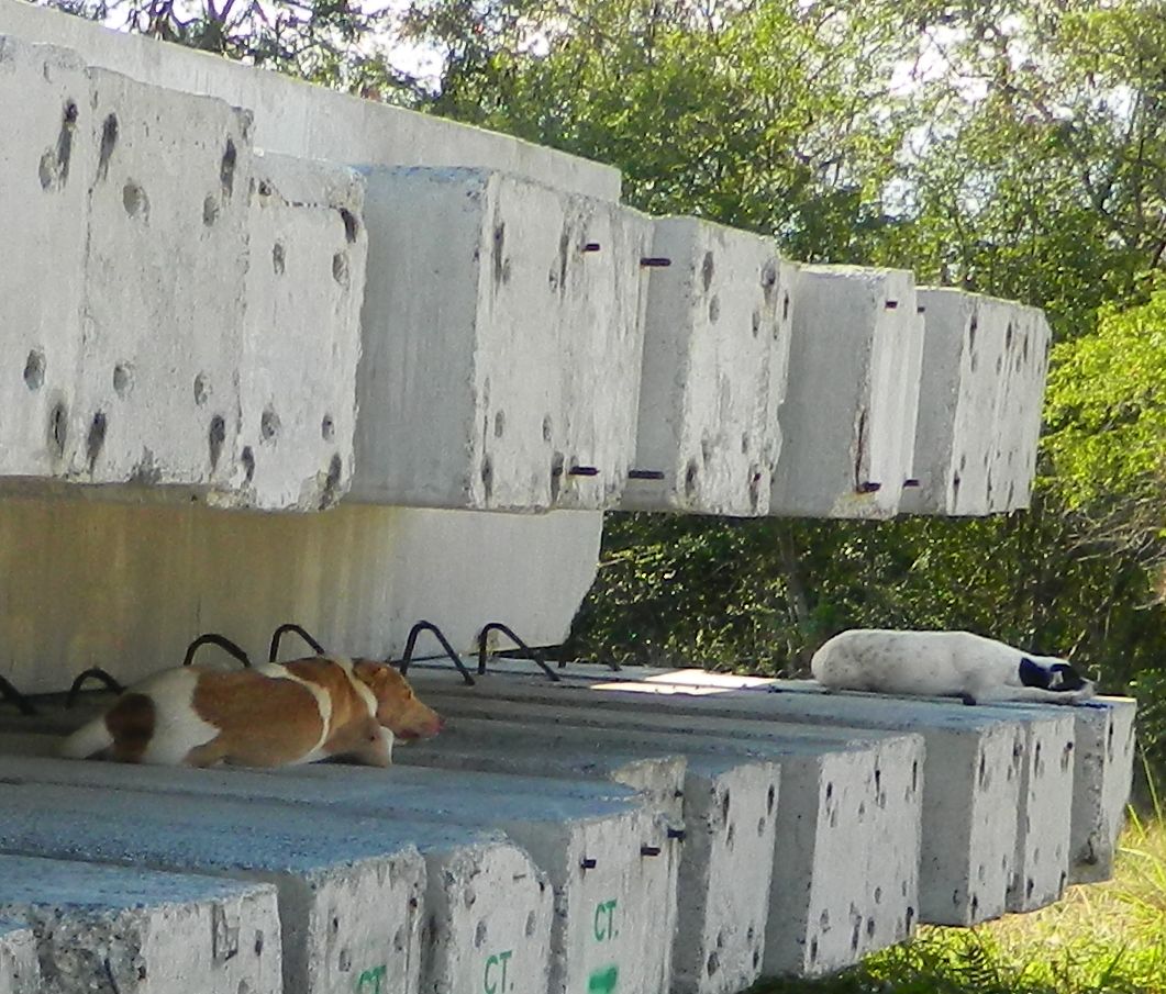 foto di cantiere